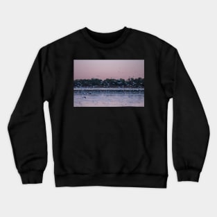 Morning Flight During Fall Migration Crewneck Sweatshirt